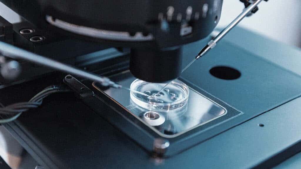 How Executive Master’s student Michelle Tang is bringing a unique luxury approach to parenthood