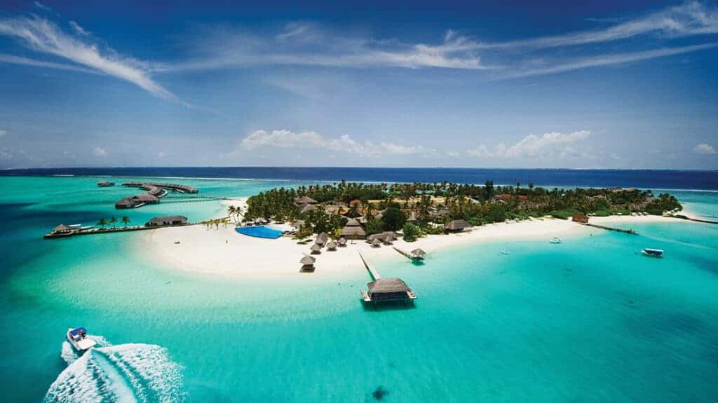 Nine reasons why you need a job in hospitality