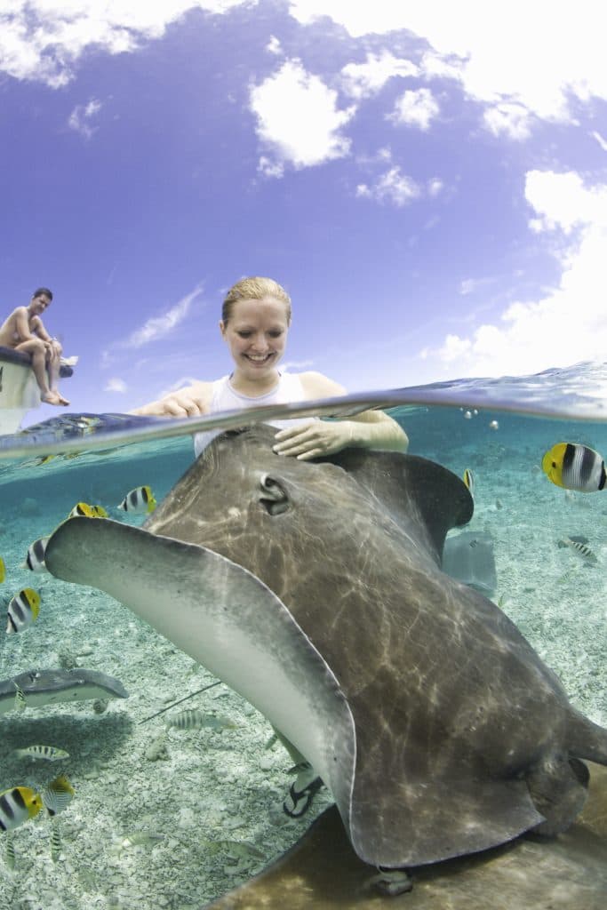 Meet the marine life.