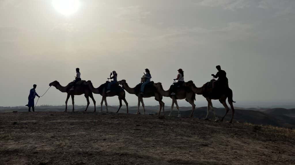 Field trips in our students’ own words – part 1: Chikita’s memorable Moroccan adventure