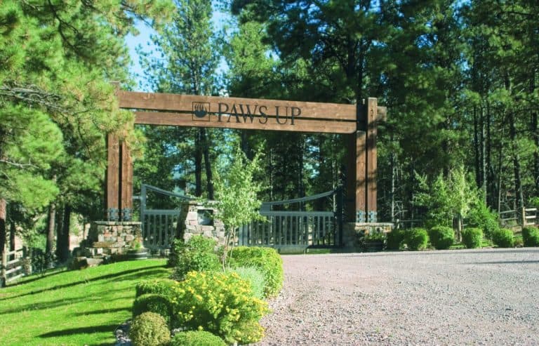 Paws-up-entrance-768x493