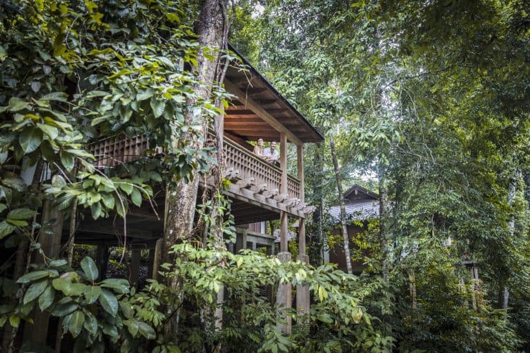 TDL_Rainforest_Villa_1-768x512