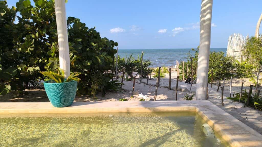 Yucatán plans: Glion alumni tell The Insider’s Ben McCormick about their latest business venture