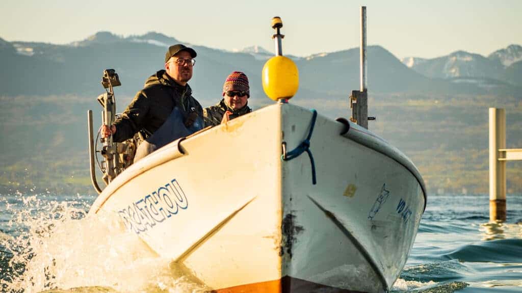 Cook with Stéphane Décotterd – part 3: Swiss shrimps tartare with caviar