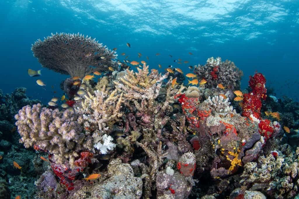 World’s best luxury destinations - #8 Saudi Arabia and the Red Sea Project