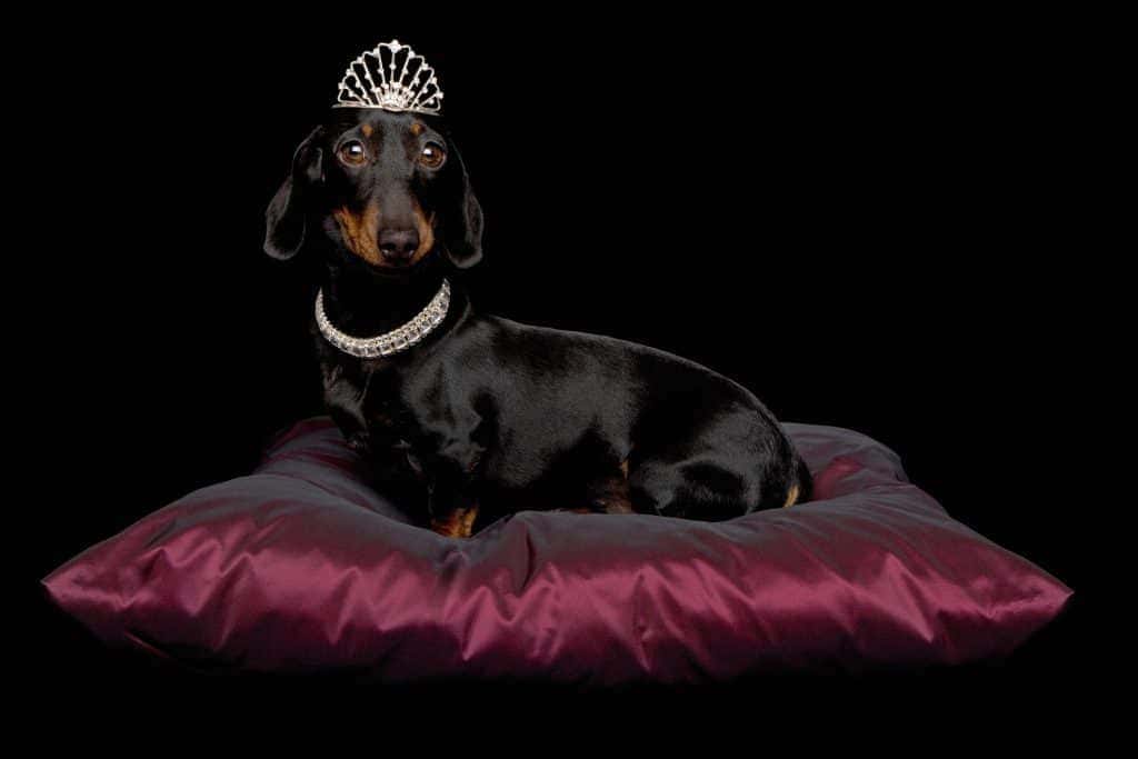 Mark Britton Jones: what’s next for luxury? Bin the bling!