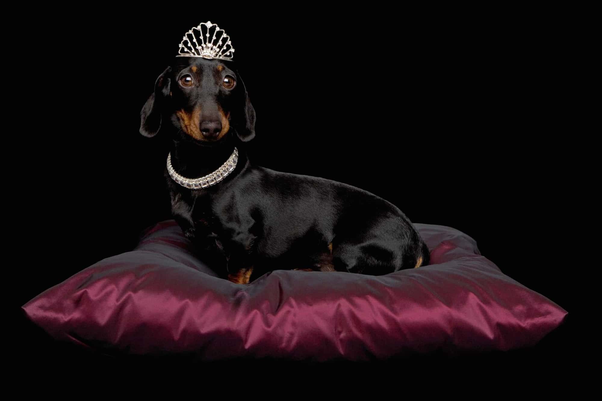 Mark Britton Jones: what’s next for luxury? Bin the bling!