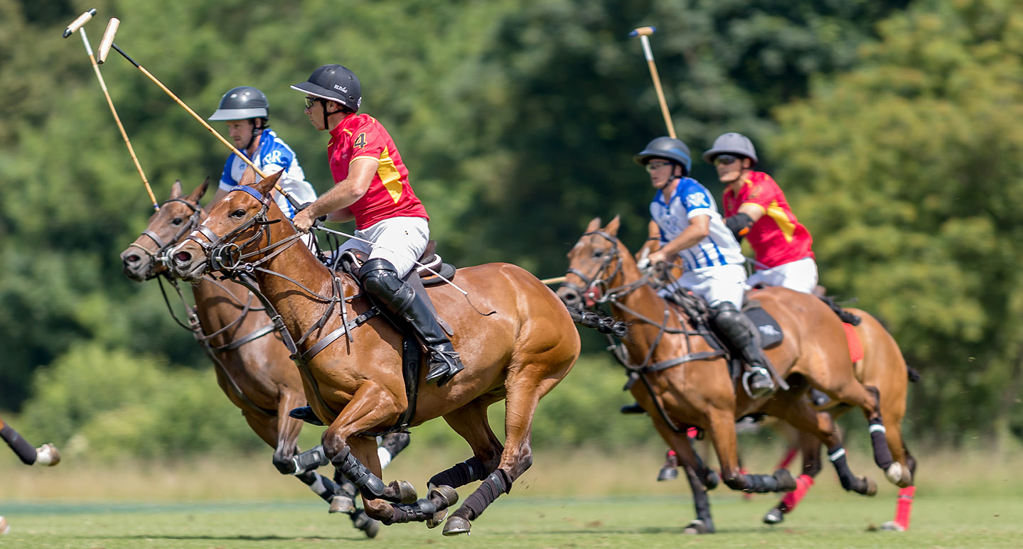 Explícito Mejorar Pareja This is polo: an insider's guide to one of the world's oldest team sports -  Glion Website